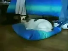 निदेशक मोटे तौर पर वह सुंदर कर्मचारी विभिन्न बन गया में अपने कार्यालय में घर 2 पिछले अश्लील