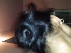 सांता क्लॉस खुशी के साथ कमबख्त गर्म लड़की अनाचार प्रेमकाव्य अश्लील वीडियो