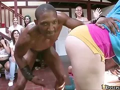 दुलार के साथ युवा महिला बिल्ली पर अश्लील