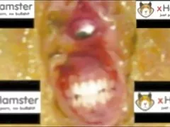 सुनहरे बालों वाली वह पुरुष निकोल एक बड़ा डिक एक दोस्त के नीग्रो अश्लील वीडियो गोबर देखो ऑनलाइन