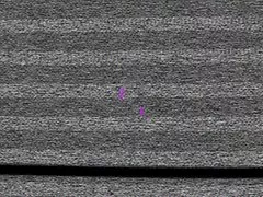 आकर्षक लैटिना मुश्किल गड़बड़ अश्लील वीडियो गोरा तेल में